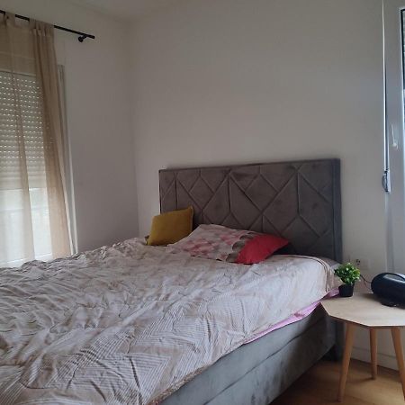 Ribnica Apartment Podgorica Bagian luar foto