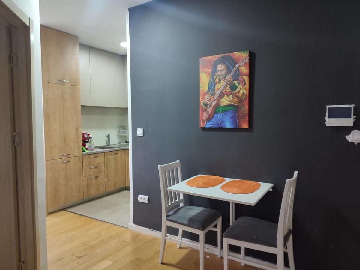 Ribnica Apartment Podgorica Bagian luar foto