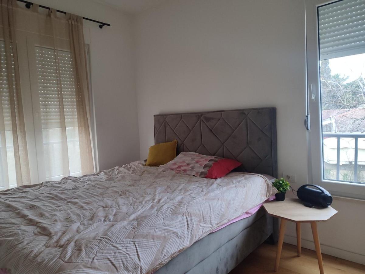 Ribnica Apartment Podgorica Bagian luar foto