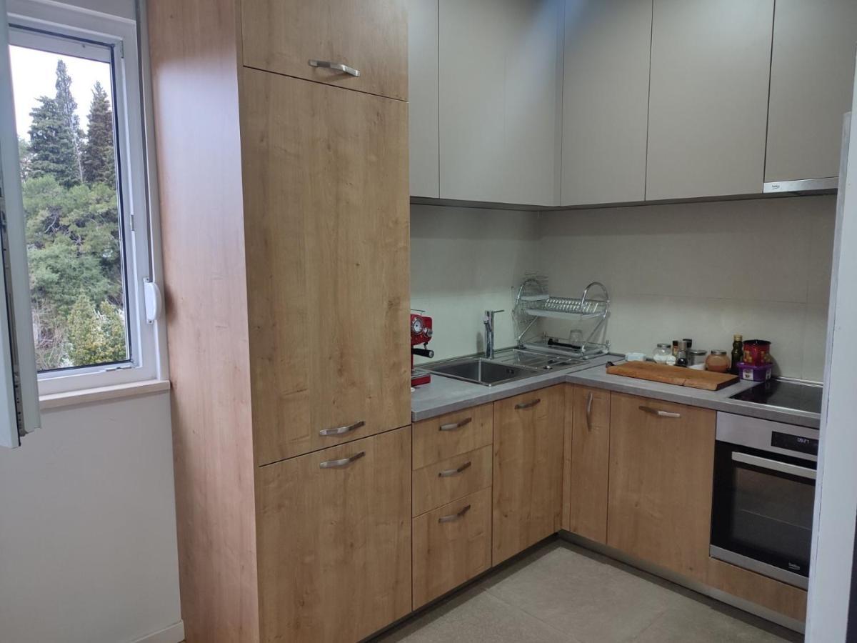 Ribnica Apartment Podgorica Bagian luar foto